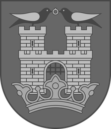 Mesto Michalovce – školy